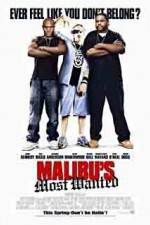 Watch Malibu's Most Wanted Nowvideo