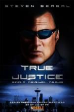 Watch True Justice: Brotherhood Nowvideo