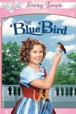 Watch The Blue Bird Nowvideo