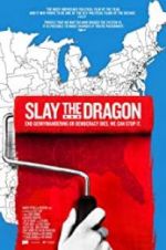 Watch Slay the Dragon Nowvideo