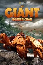 Watch The Giant Robber Crab Nowvideo