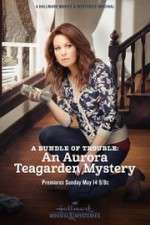 Watch A Bundle of Trouble: An Aurora Teagarden Mystery Nowvideo