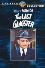 Watch The Last Gangster Nowvideo