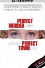Watch Perfect Murder Perfect Town JonBenet and the City of Boulder Nowvideo