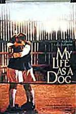 Watch My Life As A Dog Nowvideo