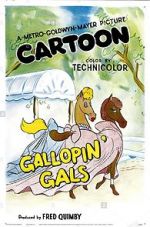 Watch Gallopin\' Gals Nowvideo