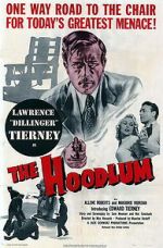 Watch The Hoodlum Nowvideo