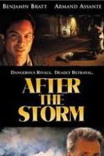 Watch After the Storm Nowvideo