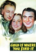 Watch Gold Is Where You Find It Nowvideo