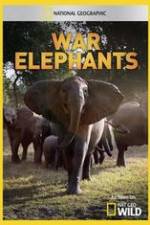 Watch War Elephants Nowvideo