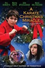 Watch A Karate Christmas Miracle Nowvideo