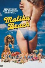 Watch Malibu Beach Nowvideo