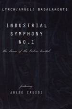 Watch Industrial Symphony No 1 The Dream of the Brokenhearted Nowvideo