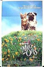 Watch Milo and Otis Nowvideo
