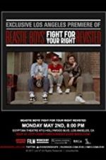 Watch Beastie Boys: Fight for Your Right Revisited Nowvideo