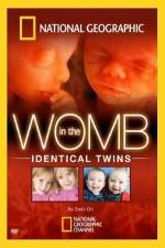 Watch National Geographic: In the Womb - Identical Twins Nowvideo