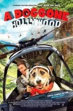 Watch A Doggone Hollywood Nowvideo