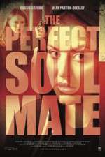 Watch The Perfect Soulmate Nowvideo