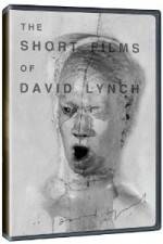 Watch The Short Films of David Lynch Nowvideo