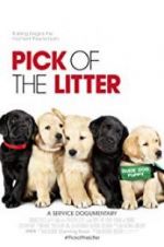 Watch Pick of the Litter Nowvideo