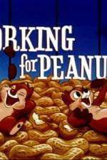 Watch Working For Peanuts Nowvideo