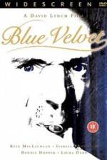 Watch Blue Velvet Nowvideo