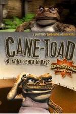 Watch Cane-Toad What Happened to Baz Nowvideo