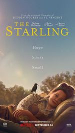 Watch The Starling Nowvideo