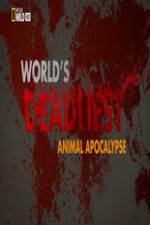 Watch Worlds Deadliest... Animal Apocalypse Nowvideo