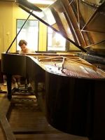Watch Note by Note: The Making of Steinway L1037 Nowvideo