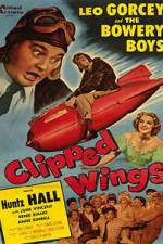 Watch Clipped Wings Solarmovie