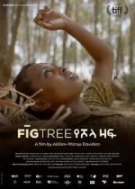 Watch Fig Tree Nowvideo