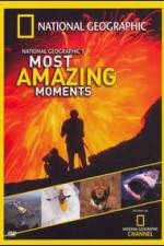 Watch National Geographics Most Amazing Moments Nowvideo