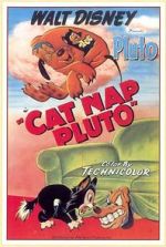 Watch Cat Nap Pluto Nowvideo