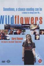 Watch Wildflowers Nowvideo