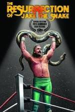 Watch The Resurrection of Jake The Snake Roberts Nowvideo