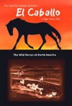 Watch El Caballo: The Wild Horses of North America Nowvideo