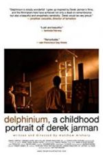 Watch Delphinium: A Childhood Portrait of Derek Jarman Nowvideo