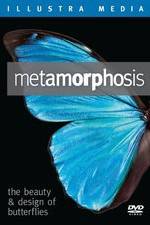 Watch Metamorphosis: The Beauty and Design of Butterflies Nowvideo