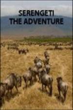 Watch Serengeti: The Adventure Nowvideo