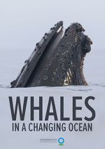 Watch Whales in a Changing Ocean (Short 2021) Nowvideo