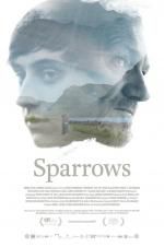 Watch Sparrows Nowvideo