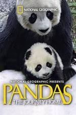 Watch Pandas: The Journey Home Nowvideo