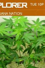 Watch Marijuana Nation Nowvideo