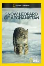Watch Snow Leopard of Afghanistan Nowvideo
