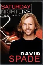 Watch Saturday Night Live The Best of David Spade Nowvideo