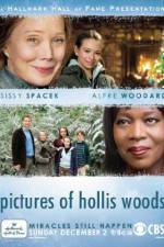 Watch Pictures of Hollis Woods Nowvideo