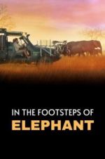 Watch In the Footsteps of Elephant Nowvideo