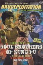 Watch Soul Brothers of Kung Fu Nowvideo