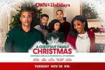 Watch A Chestnut Family Christmas Nowvideo